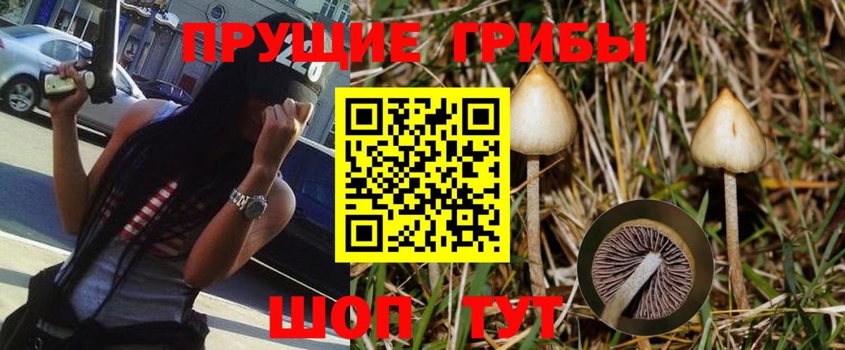 закладки  Галлюциногенные грибы Magic Shrooms  Вход с VPN  Белореченск  Псилоцибиновые грибы мухоморы 
