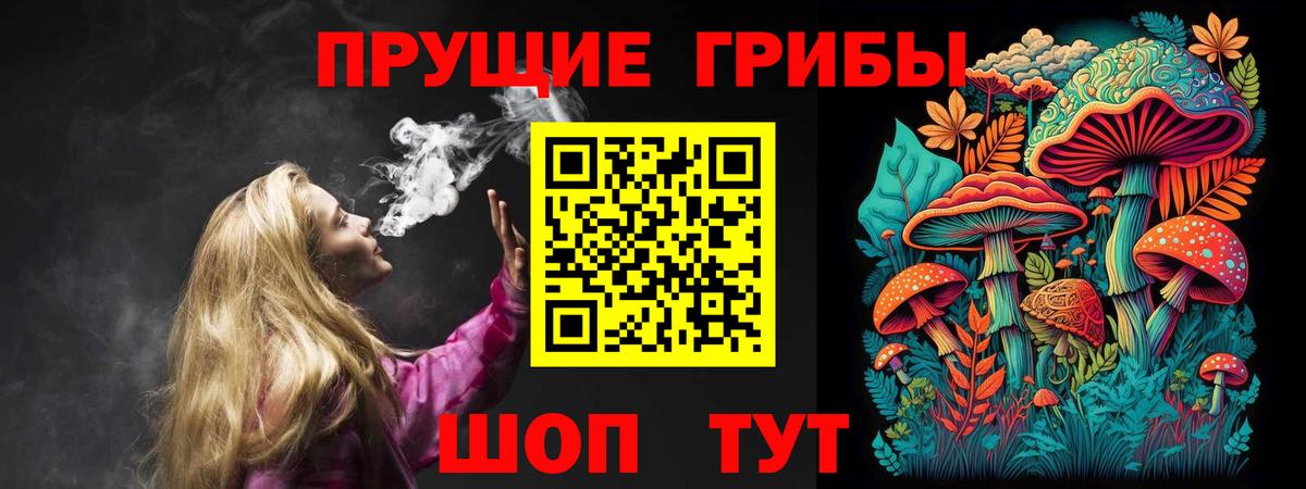 Галлюциногенные грибы Cubensis Белореченск